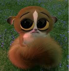 Who Did It Who Random Answers Cute Cartoon Characters Madagascar Movie Favorite Cartoon Character