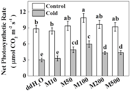 Melatonin is a hormone naturally produced in the body. Molecules Free Full Text Exogenous Melatonin Alleviates Cold Stress By Promoting Antioxidant Defense And Redox Homeostasis In Camellia Sinensis L Html