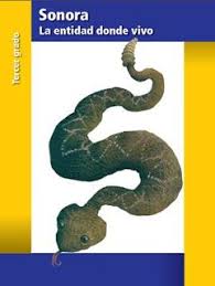 Por turno, cada uno cúbrase con la tela de color negro y observe a través del agujero cubierto con papel albanene o china. Libros De Texto Primaria Materia Sonora La Entidad Donde Vivo Nivel Primaria Grado Tercer Grado Ciclo Escolar Libro De Texto Tercer Grado Sonora