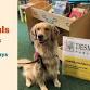 6:30 pm - Paw Pals: Read to a Dog! event image