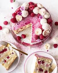Himbeer Raffaello Torte Ohne Gelatine Emma S Lieblingsstucke Rezept Keto Dessert Rezepte Kuchen Ohne Backen Kuchen Und Torten