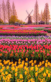 Flower Gardening One Of The Best Occupation It Is Also The Natural Beauty Which Beauty Beautiful Gardens Beautiful Landscapes Beautiful Flowers Garden