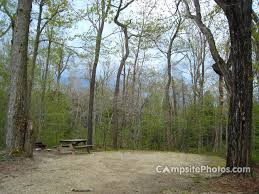 Hike for 1.5 miles, enjoying state forests are wonderful places to visit year round, especially if there are areas suitable for winter sports. Savoy Mountain State Forest Campsite Photos Reservations Info