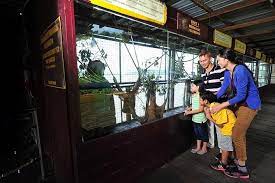 How to get from taiping to bentung by train, plane or car ferry. Orang Utan Island And Taiping From Penang Marriott