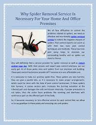 Looking for top quality pest control services? Why Spider Removal Service Is Necessary For Your Home And Office Premises By Flyco The Green Pesty Issuu