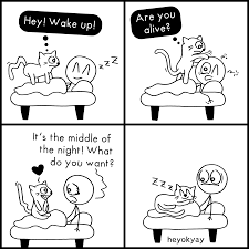 Wake Up Cat Comics Happy Cat Funny Quotes