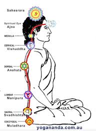 The Movement Of Energy Through The Chakras Or Energy Centres Located Near The Spine Http 1 Bp Blogspot Co Kundalini Awakening Kriya Yoga Chakra Kriya Yoga