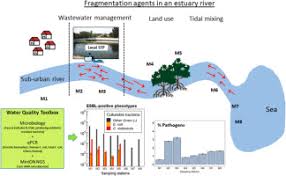 Antibiotic prophylaxis for dental patients at risk for infection. Multidrug Resistant Bacteria And Microbial Communities In A River Estuary With Fragmented Suburban Waste Management Sciencedirect