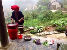 Red Dao Dyeing Cloth Using Natural Dyes In Sapa Vietnam
