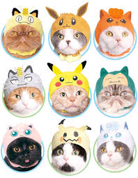 Pokemon Cat Hats Cat Pokemon Pokemon Costumes Sims 4 Pets