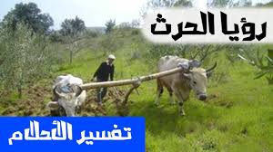 We did not find results for: Ø­Ø±Ø§Ø«Ø© Ø§Ù„Ø§Ø±Ø¶ ÙÙŠ Ø§Ù„Ù…Ù†Ø§Ù… ØªÙØ³ÙŠØ± Ø­Ù„Ù… Ø±Ø¤ÙŠØ© Ø­Ø±Ø§Ø«Ø© Ø§Ù„Ø§Ø±Ø¶ Ù‡Ù„ ØªØ¹Ù„Ù…