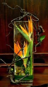 Simple Bird Of Paradise Flower Arrangement Birds Of Paradise Wedding Google Search Bird Of Paradise Wedding Tropical Flower Arrangements Birds Of Paradise Flower