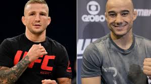 (hd 60fps)tj dillashaw gets new tattoo after ufc 217 win over cody garbrandt 2017.11.06. Marlon Moraes To Bantamweight Champ Tj Dillashaw Defend Or Vacate The Belt Middleeasy