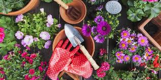 Check spelling or type a new query. 23 Best Online Garden Accessories Best Garden Tools On Amazon