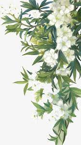 White Blooming Flowers And Green Leaves Green Leaves Leaf White Png And Psd Flower Painting Floral Poster Floral Painting