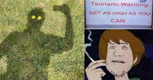 New zealand's emergency agency has told residents in some areas to head for higher ground after a powerful earthquake struck the kermadec islands region early friday, sparking fears of a tsunami. 40 Funny Pics And Memes To Entertain Your Brain Wow Gallery