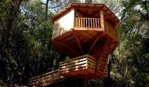 Compara precios, opiniones y zonas para hacer turismo rural. Las Mejores Cabanas En Los Arboles Para Dormir En Espana La Espiga Digital