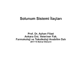 Https Acikders Ankara Edu Tr Mod Resource View Php Id 43512