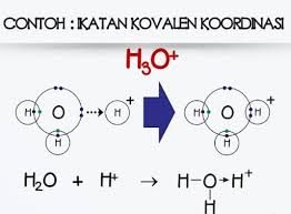 Maybe you would like to learn more about one of these? Ikatan Kovalen Pengertian Jenis Pembentukan Contoh Soal