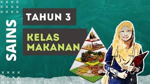 Mengajar klien kemahiran menyediakan makanan seimbang dan berkhasiat untuk diri dan juga keluarga (piramid makanan seimbang). Tahun 3 Sains Kelas Makanan Youtube