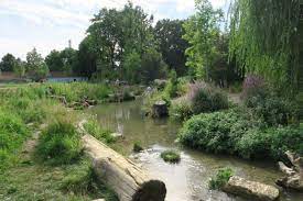 „the garden is a mirror of the heart. Ausflugstipp Rosengarten In Den Isarauen My City Baby Munchen