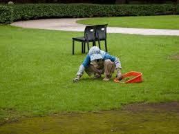 There are several ways to kill and remove your existing lawn. How To Plant Grass Seed Over Existing Grass Or New Lawn