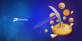 Pin On Startup