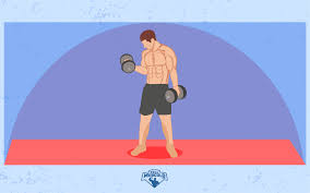 6 ejercicios con mancuernas con los que tonificar brazos (y todo el cuerpo). Los 13 Mejores Ejercicios Con Mancuernas Para Tonificar Fullmusculo