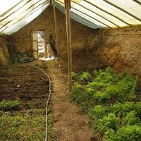 15 Ancient House Designs That You Can Build Really Cheap Potentially For Free Walden Labs Greenhouse Underground Greenhouse Ancient Houses