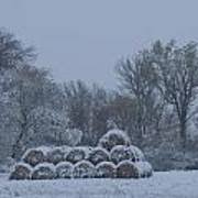 Early Snow by Sharon Blunt