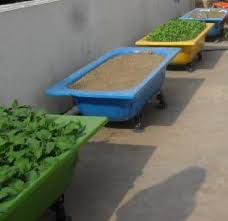 Also, go for veggies that are quick to grow and don't require much space. Vegetable Terrace Gardening A Complete Guide Gardening Tips