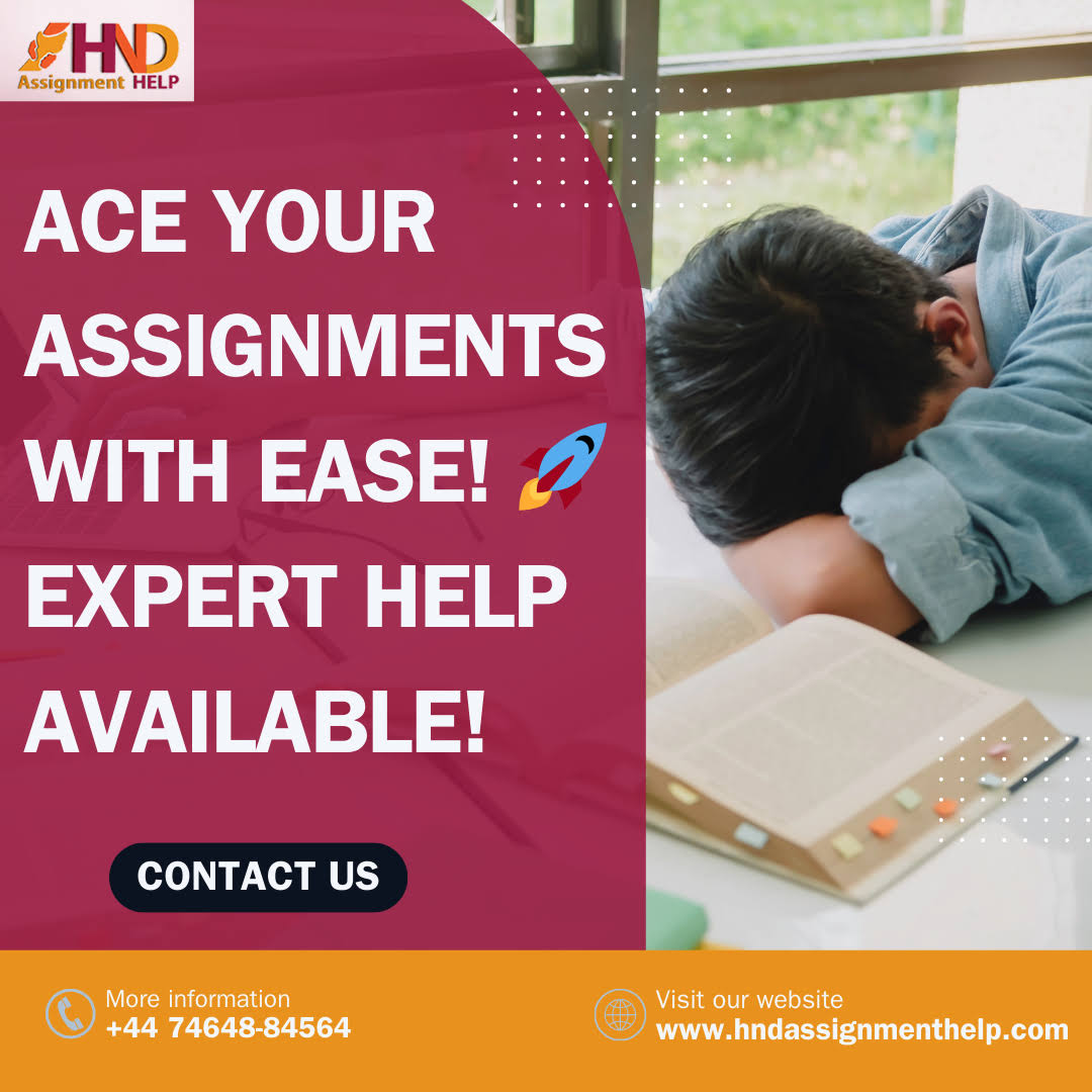 Assignment Help Services product image