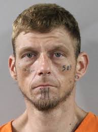 Lakeland man arrested for attacking a bicyclist and stealing the bike