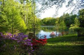Address 1000 west franklin street evansville, in 47710 maps & directions. Indiana S Azalea Path Botanical Garden Offers Petals Trails