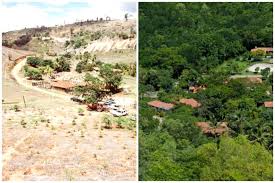 The following 7 files are in this category, out of 7 total. How A Photojournalist Restored An Entire Forest In 20 Years