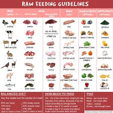 Raw Dog Food Guidance Chart Make Dog Food Raw Feeding For