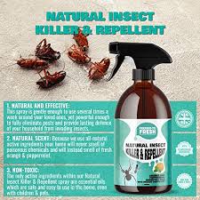 This homemade garden bug spray, made from hot peppers, is a proven pest deterrent for your organic garden. Pressed To Fresh Castile Soap Home Spray For Pest Control Fly Ant Spider Flea Bug Killer And Insect Repellent Zotiel