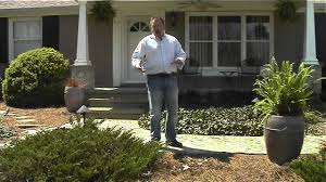 Many homeowners position honeysuckle to grow vertically along. How To Landscape With Ground Cover Plants Youtube
