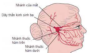 Legi, paing, pon, wage dan kliwon, itulah nama pasaran yang di maksud. Biá»ƒu Hiá»‡n Thoai Hoa Khá»›p Tim Hiá»ƒu Ä'au Day Tháº§n Kinh Sinh Ba