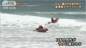 See full list on nznaminori.com ã‚·ãƒ£ãƒ¼ã‚¯ã‚¢ã‚¿ãƒƒã‚¯ ã‚µãƒ¼ãƒ•ã‚£ãƒ³ä¸­ã«ã‚µãƒ¡ã«è¥²ã‚ã‚Œãªã„æ–¹æ³•