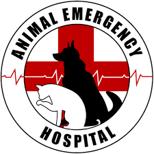 If you have any questions though, don't hesitate to contact how do pet emergencies happen? 24 7 Emergency After Hours Vet In Flint Animal Emergency Hospital