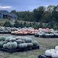 2025 Pumpkin Harvest Market