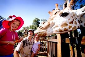 If you have a few years of experience in the java ecosystem, and you're interested in sharing that experience with the community (and getting paid for your work of course). 10 Best Things To Do In Dubbo Nsw The Big Bus