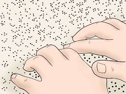 Braille is a system of touch reading and writing for blind persons in which raised dots represent the letters of the alphabet. Braille Alchetron The Free Social Encyclopedia