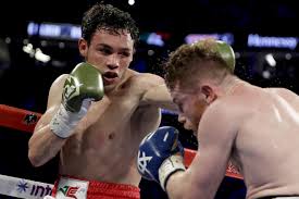 Julio Cesar Chavez Jr S La Home Reportedly Burglarized 750k In Items Stolen Bleacher Report Latest News Videos And Highlights