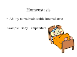We did not find results for: Homeostasis