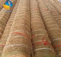 Red Ecológica de Protección de la Lechada de Coco y Anti ...