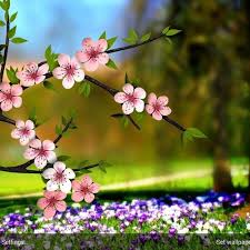 › lagu udah kelas 3 aku mau uan. Michel Pepe La Biche D Amour 320 Kbps Download Lagu Mp3 Com By Instrumental