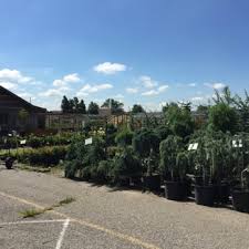 We have reviews of the best places to see in watkins glen. Watkins Nursery Nurseries Gardening 1224 Goetz Dr Owensboro Ky Phone Number Yelp