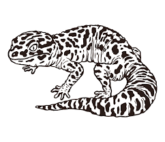 Draw the shape of the body and neck of the gecko. Leopard Gecko Longing For Dinosaurs Drawing Ai Illustrator File Us 5 00 Each Ai Png File